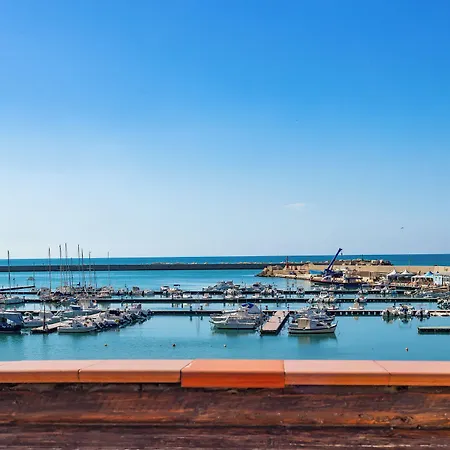 Aliai شاكا